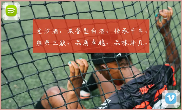金沙酒，浓香型白酒，传承千年，经典三款，品质卓越，品味非凡，尊享人生。